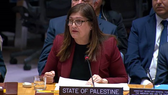 مجلس الأمن يبحث الوضع في الشرق الأوسط بما في ذلك القضية الفلسطينية