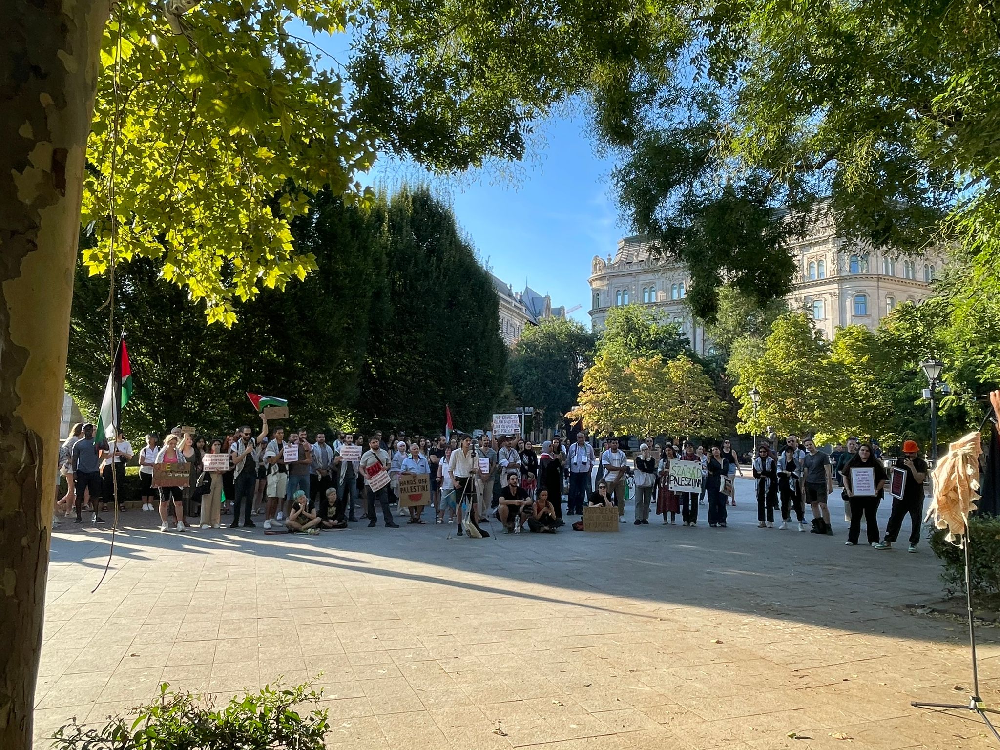 جانب من التظاهرة