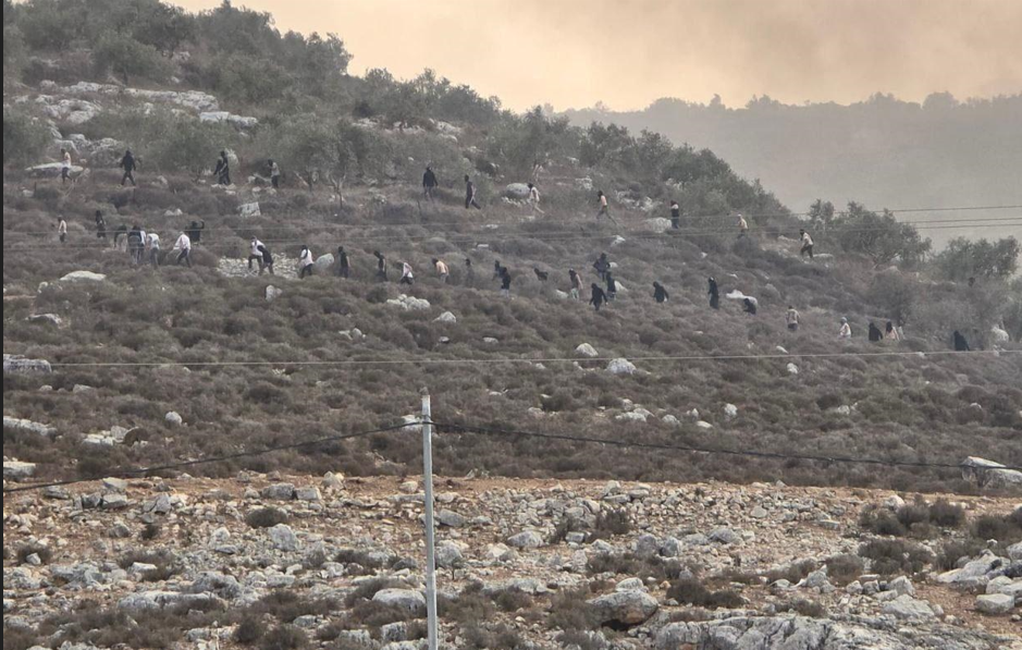 صورة أرشيفية