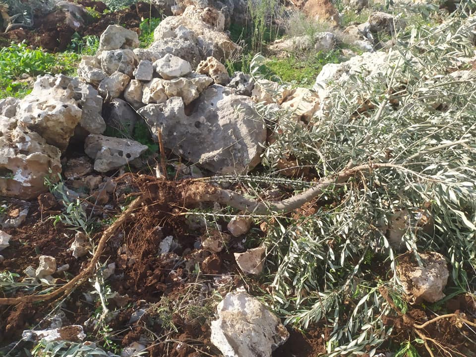 أرشيفية