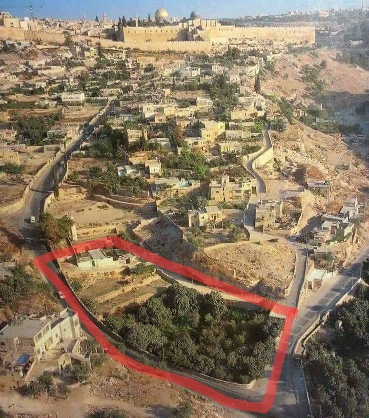 الأرض التي استولى مستوطنون عليها  في واد حلوة  