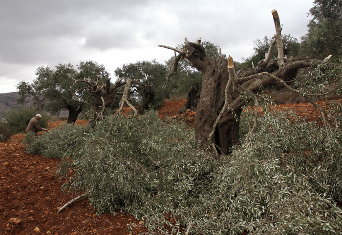 صورة أرشيفية
