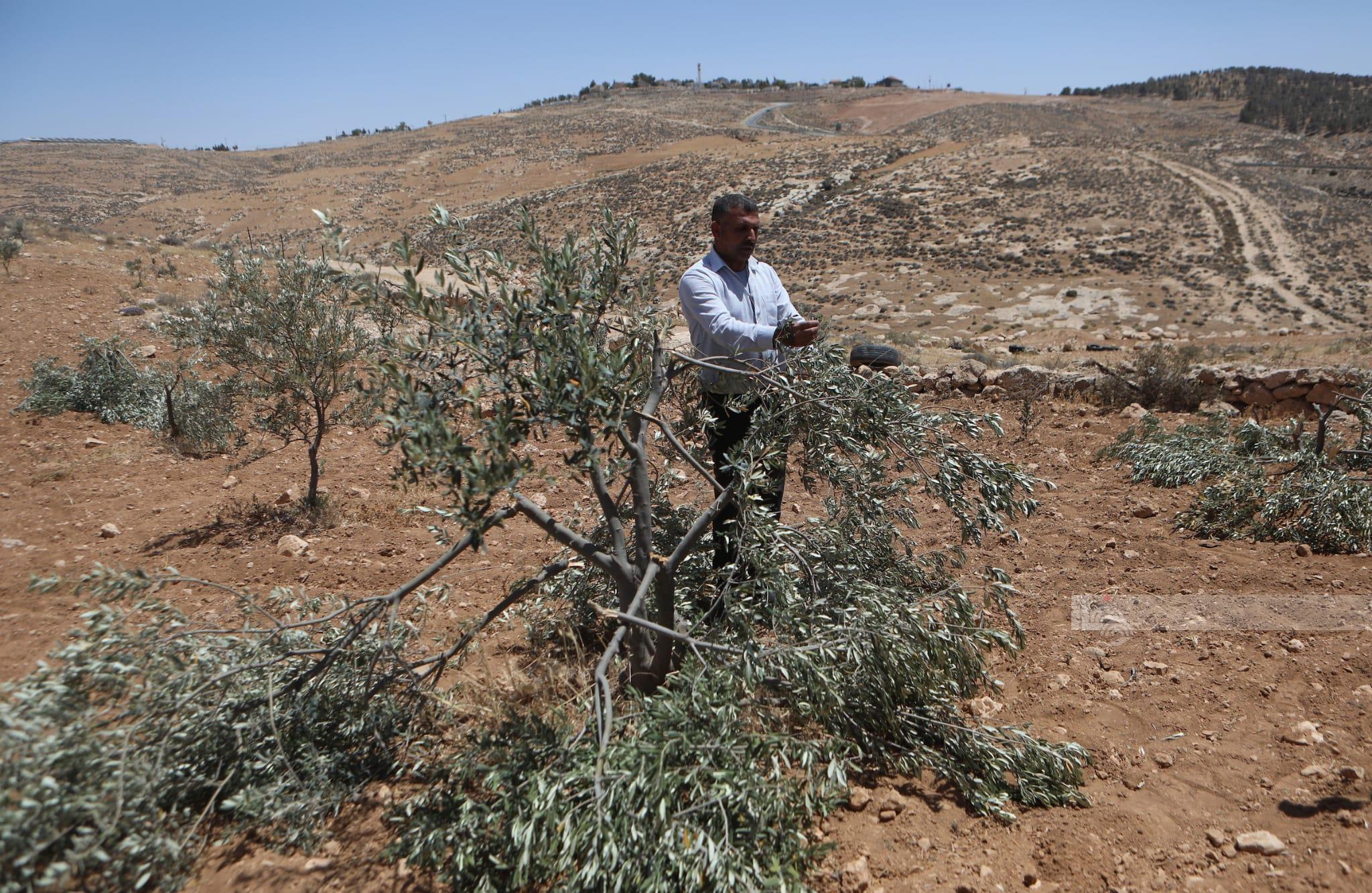 صورة أرشيفية (وفا)