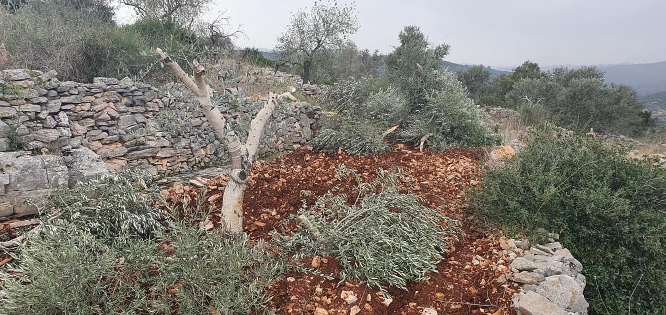 صورة أرشيفية (وفا)