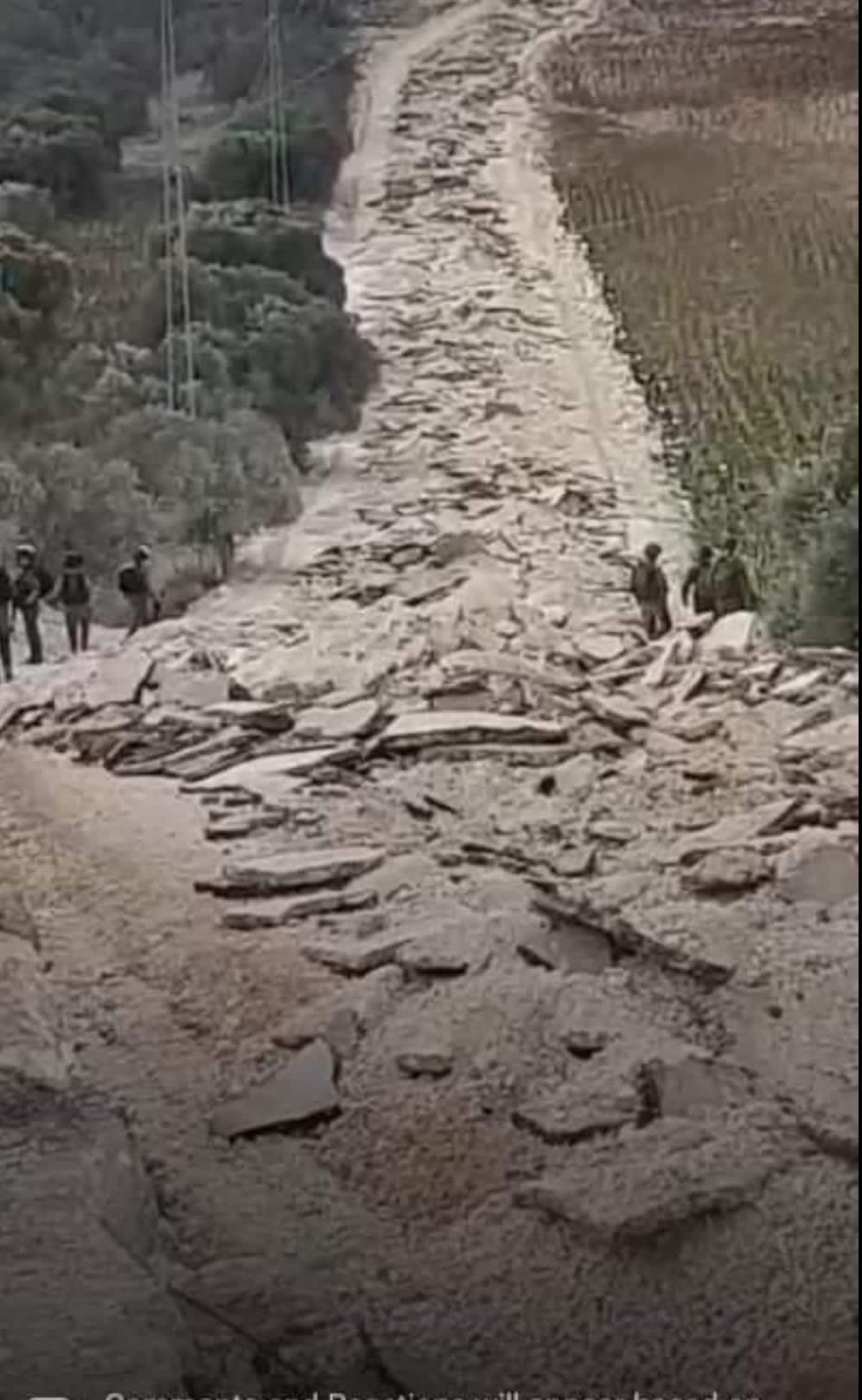 صورة خاصة للشارع الذي دمرته قوات الاحتلال.