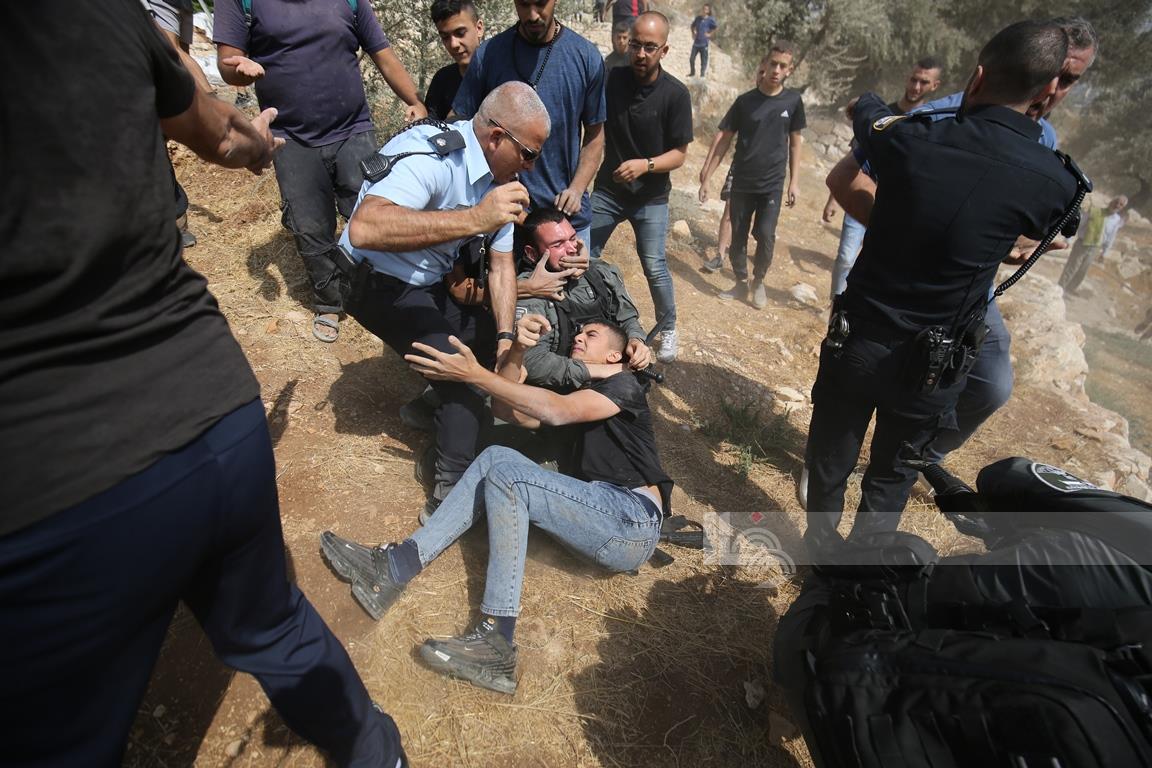 الاحتلال يعتدي على قاطفي الزيتون في حي وادي الربابة بسلوان (تصوير: وفا)