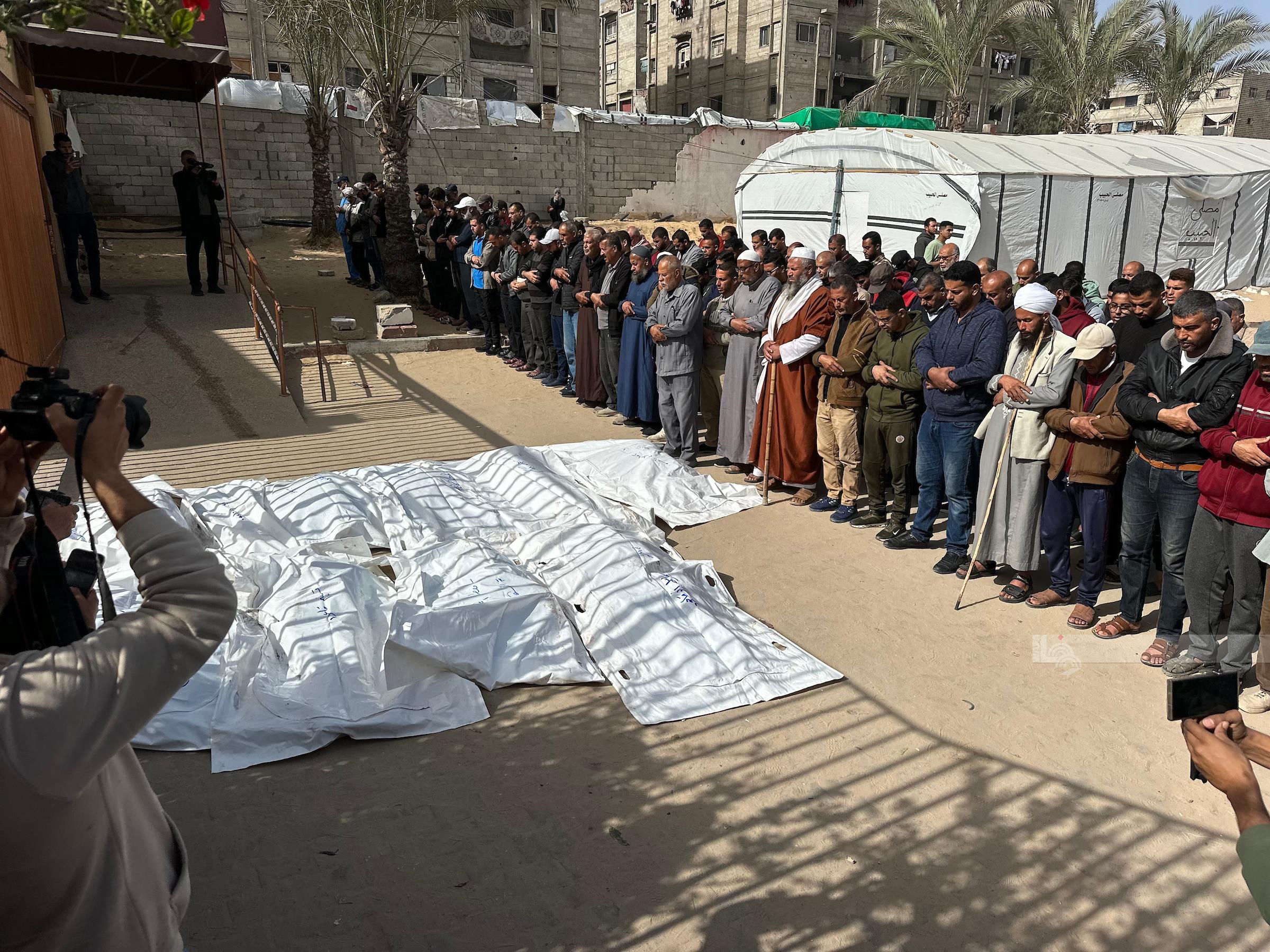 (عدسة وفا)