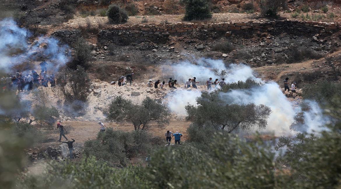 صورة أرشيفية