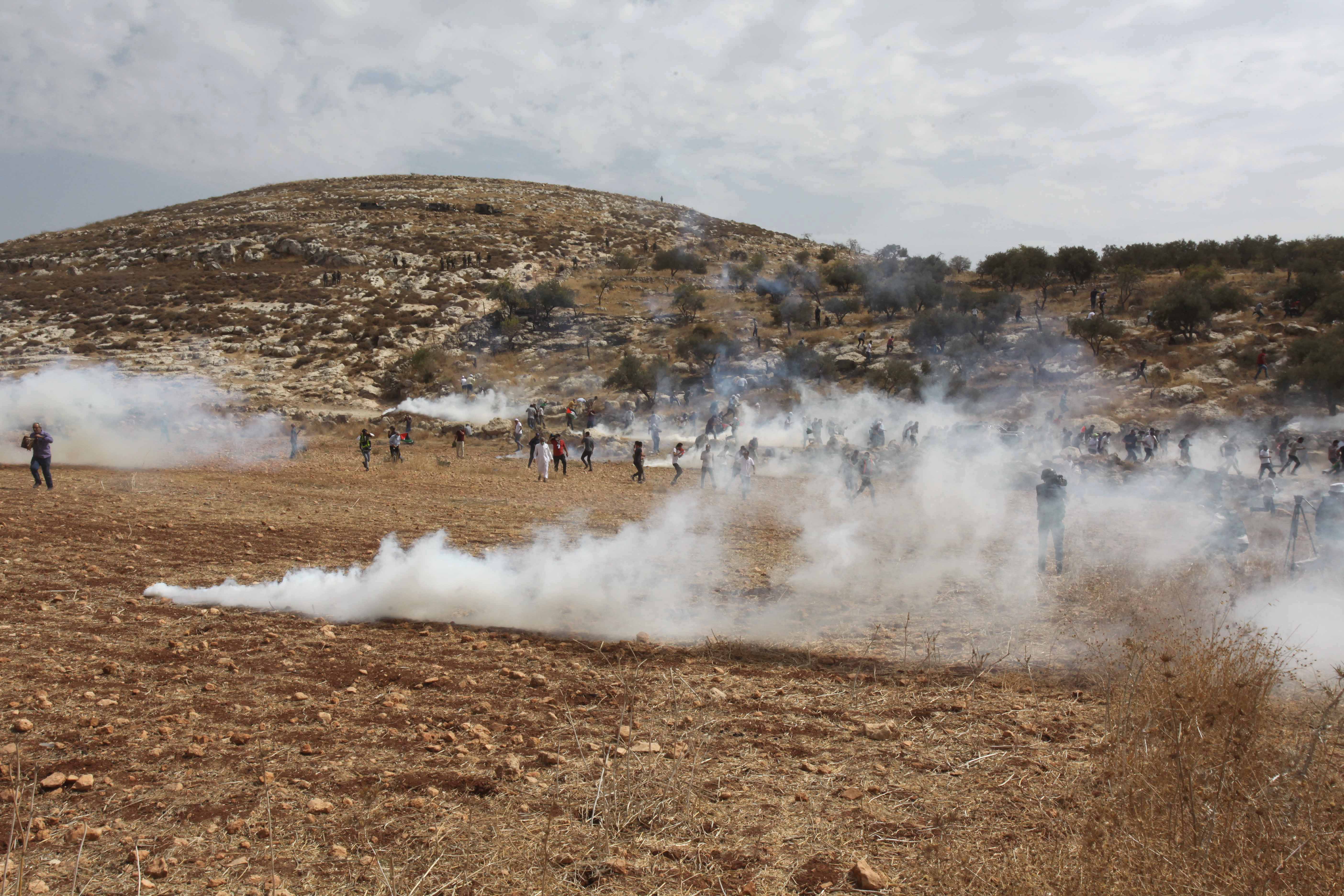 صورة أرشيفية