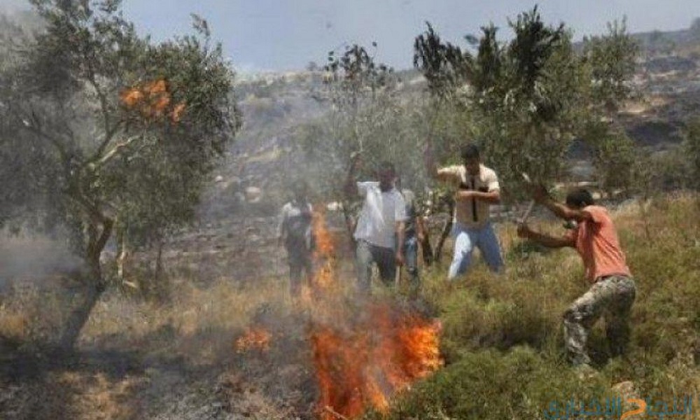 صورة أرشيفية