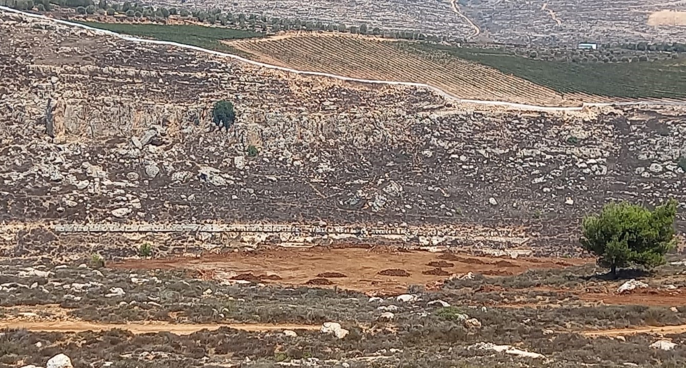 صورة أرشيفية