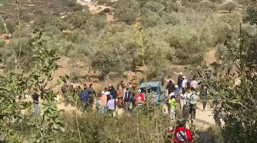 صورة أرشيفية