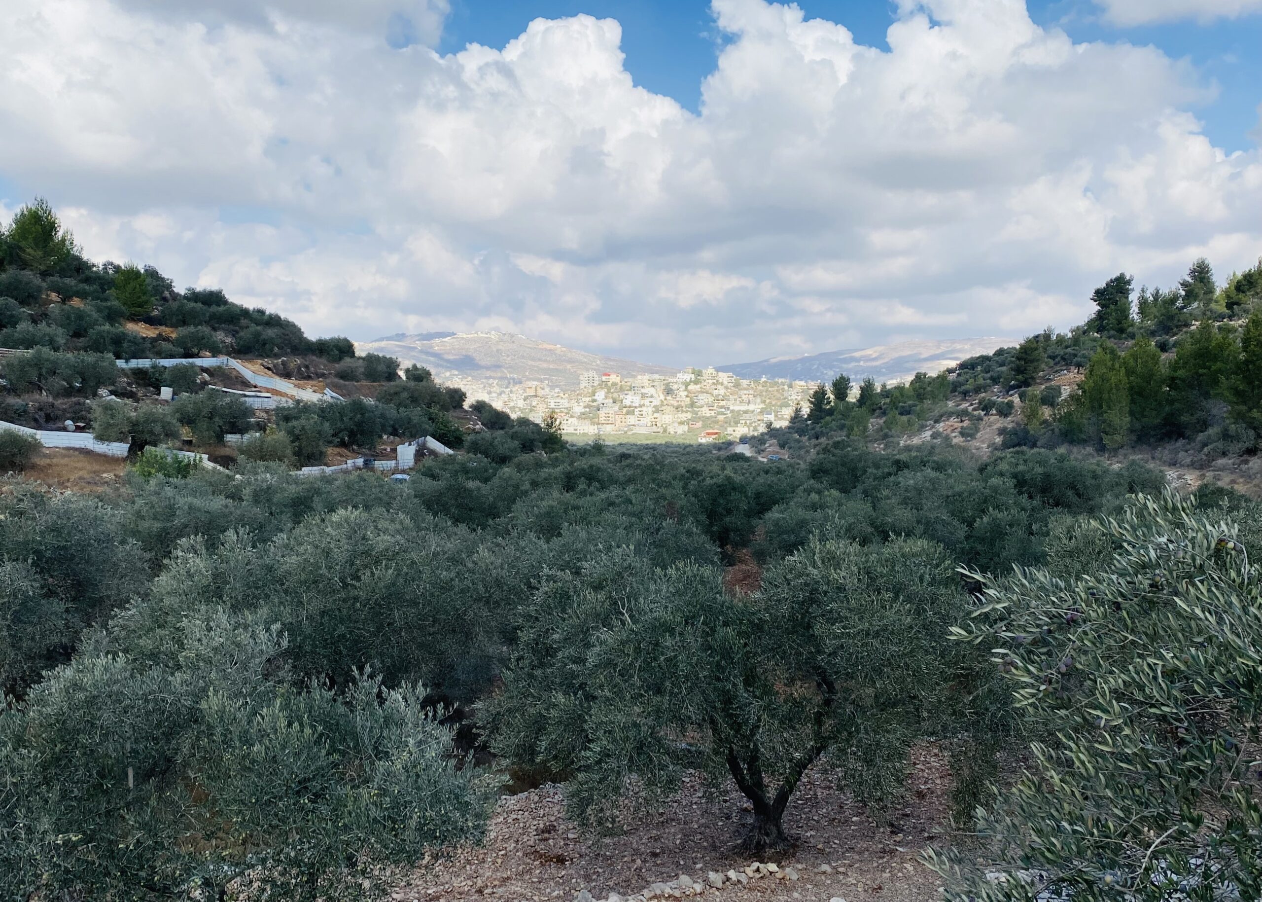 صورة أرشيفية