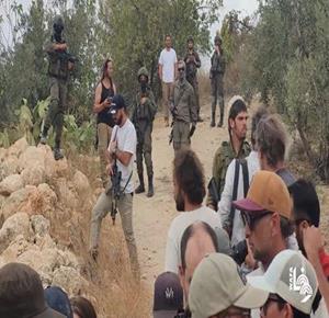 مستعمرون يصيبون مواطنًا بالرصاص الحي في صوريف وآخرون يعتدون على المواطنين في يطا وبيت أمر