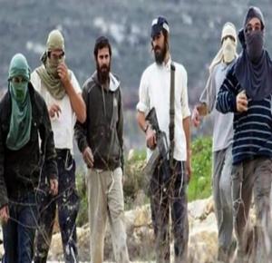 مستعمرون يهاجمون تجمعا بدويا في مخماس شمال القدس