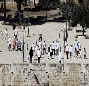 محافظة القدس: اقتحام مئات المستعمرين للأقصى في "عيد العُرش" استمرار لنهج الاحتلال في التهويد والسيطرة
