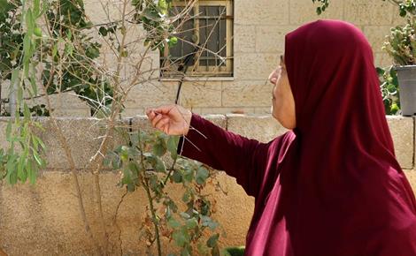في حديقة أم العبد.. لا مكان للأشجار والأزهار