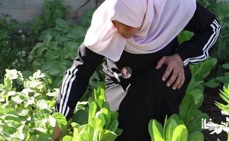 أملٌ مزروع في أرضٍ مؤقتة