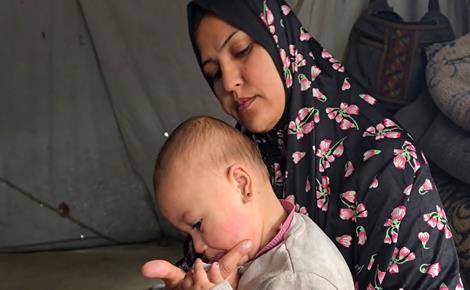 القوارض خطر يؤرق حياة النازحين في غزة