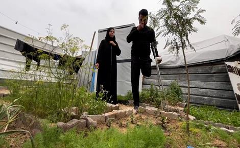 محمد نصير يعود من الكفن إلى زراعة الأرض